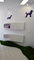 C&D Pet Spa - Pet Grooming design & construction