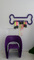 C&D Pet Spa - Pet Grooming design & construction